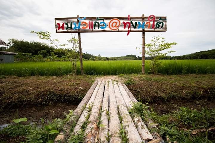 นบบัวแก้วทุ่งนาใต้